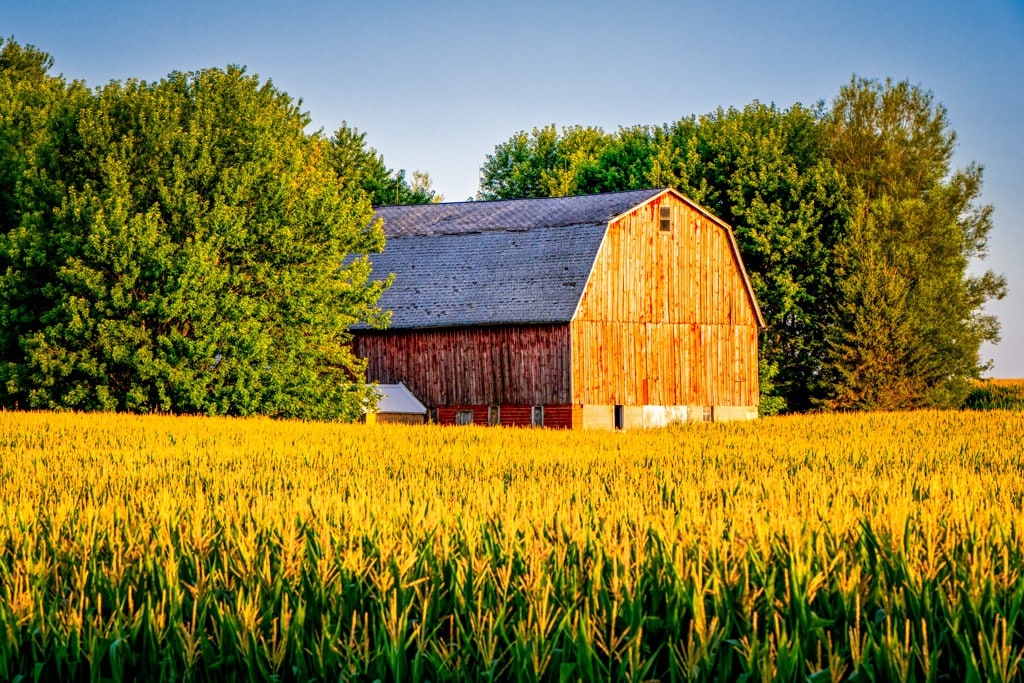 Agricultural Land Rent Work Shop