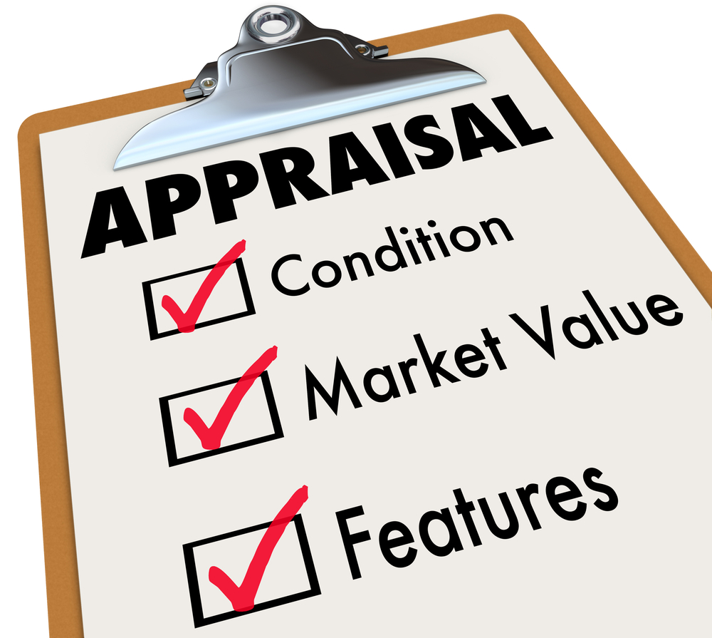 Mass Appraisal Schedule for Assessment 2024